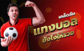 สมัครเว็บแทงบอลฟรี